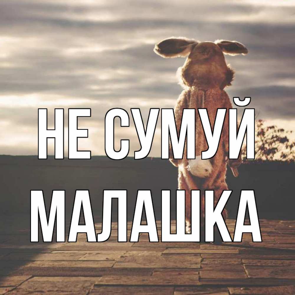 Открытка на каждый день з підписом, Малашка Не сумуй со спины Прикольна листівка з побажанням онлайн скачати безкоштовно 
