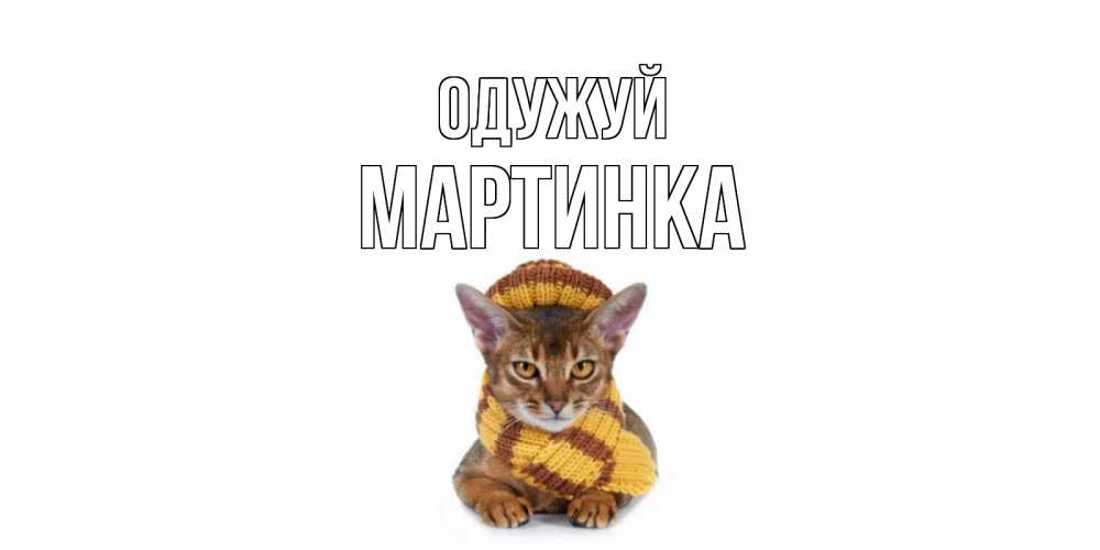 Открытка на каждый день з підписом, Мартинка Одужуй родные не болейте Прикольна листівка з побажанням онлайн скачати безкоштовно 