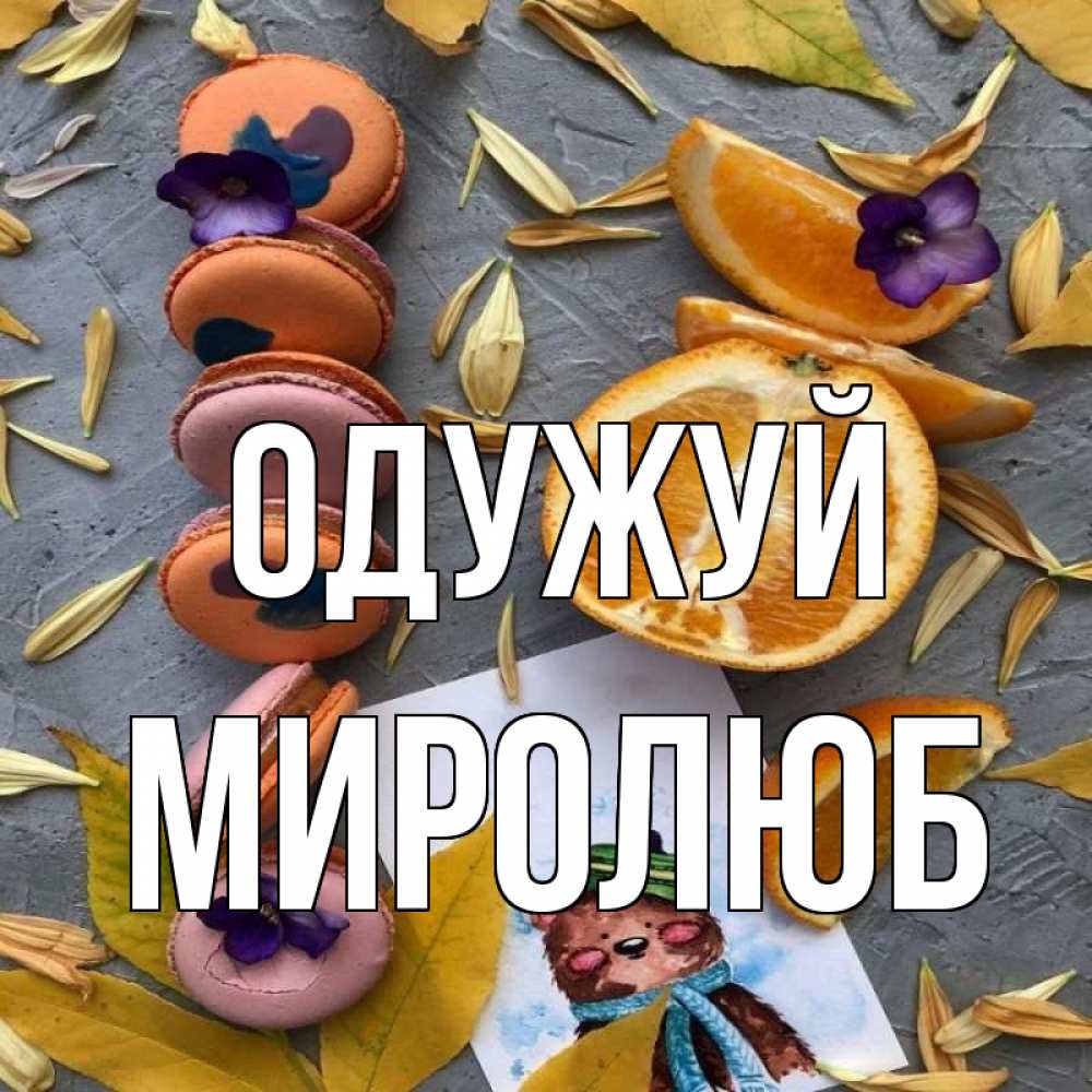 Открытка на каждый день з підписом, Миролюб Одужуй не болейте Прикольна листівка з побажанням онлайн скачати безкоштовно 