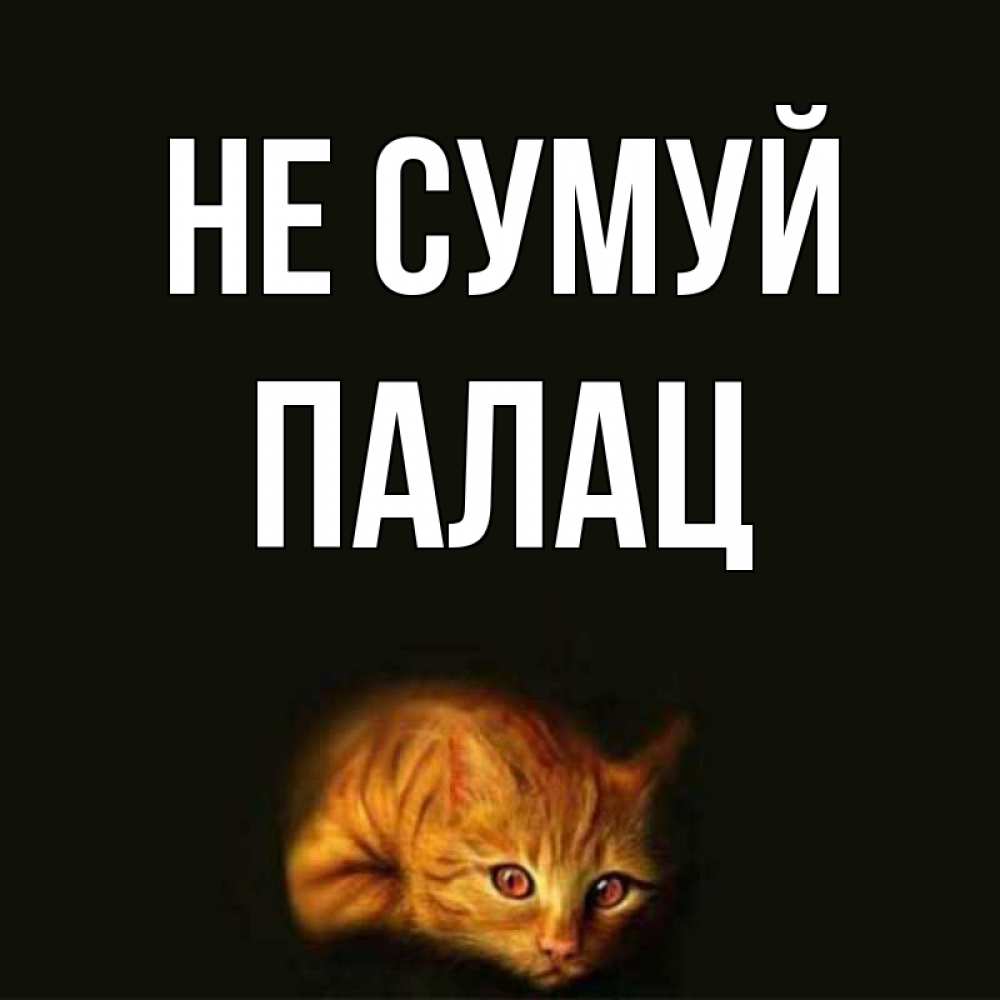 Открытка на каждый день з підписом, Палац Не сумуй лежащий кот в темноте Прикольна листівка з побажанням онлайн скачати безкоштовно 
