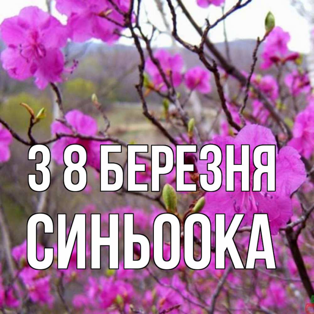 Открытка на каждый день з підписом, Синьоока З 8 БЕРЕЗНЯ международный женский день Прикольна листівка з побажанням онлайн скачати безкоштовно 