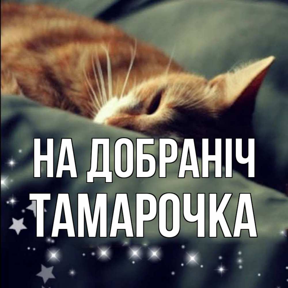 Открытка на каждый день з підписом, Тамарочка На добраніч кроватка Прикольна листівка з побажанням онлайн скачати безкоштовно 