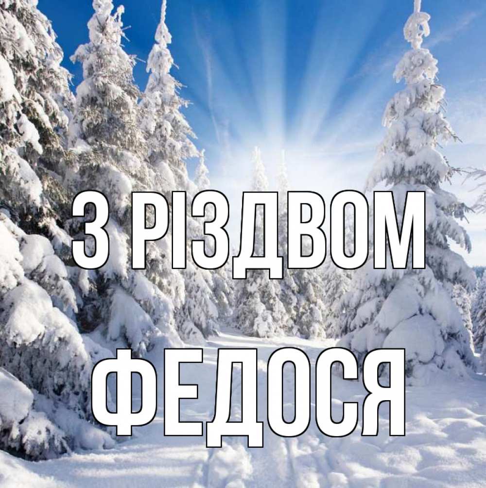 Открытка на каждый день з підписом, Федося З Різдвом зима, лес Прикольна листівка з побажанням онлайн скачати безкоштовно 