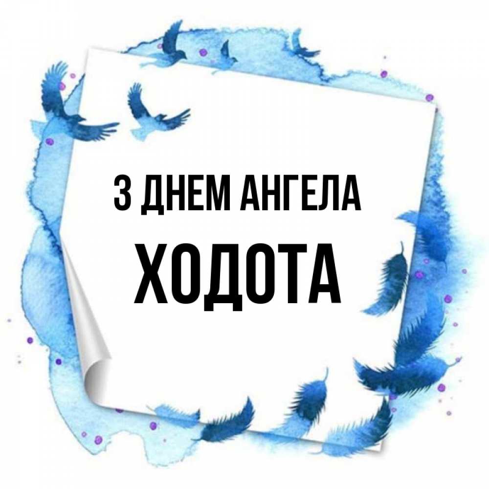 Открытка на каждый день з підписом, Ходота З Днем ангела красивые птицы летят Прикольна листівка з побажанням онлайн скачати безкоштовно 