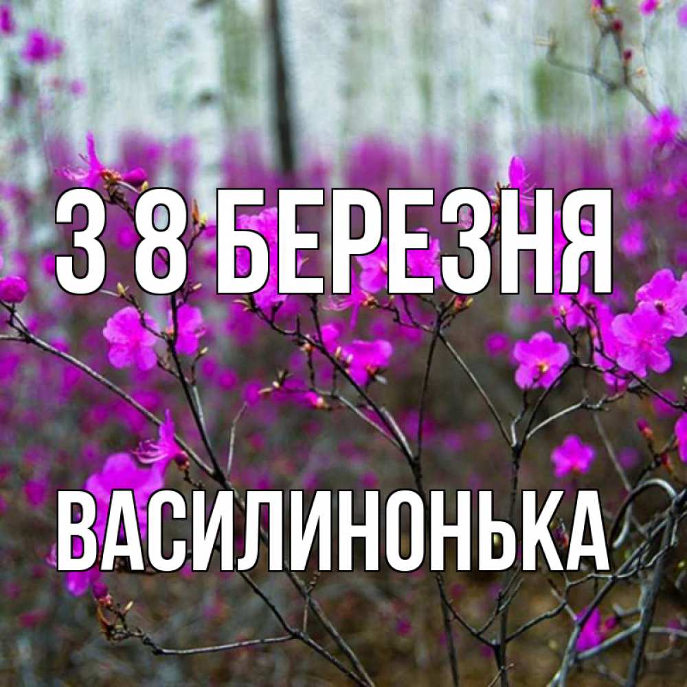 Открытка на каждый день з підписом, Василинонька З 8 БЕРЕЗНЯ дикие цветы Прикольна листівка з побажанням онлайн скачати безкоштовно 