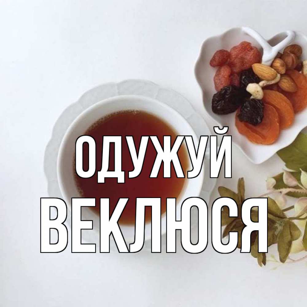 Открытка на каждый день з підписом, Веклюся Одужуй неизвестные растения Прикольна листівка з побажанням онлайн скачати безкоштовно 