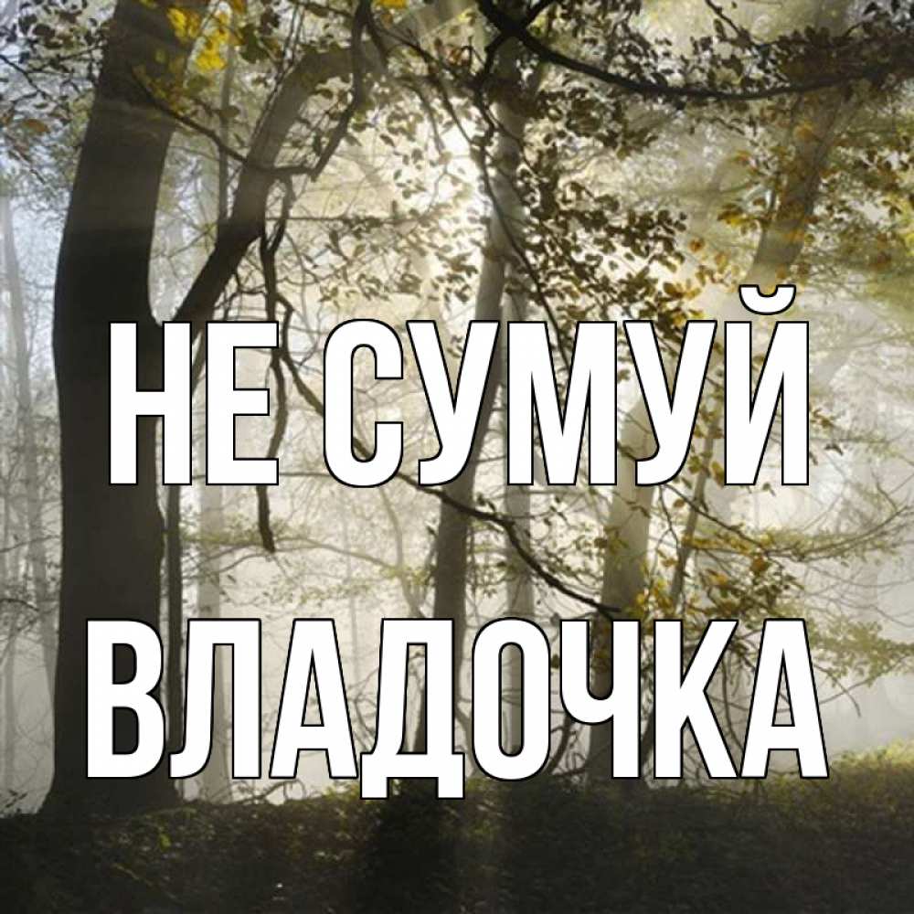 Открытка на каждый день з підписом, Владочка Не сумуй лес и свет Прикольна листівка з побажанням онлайн скачати безкоштовно 