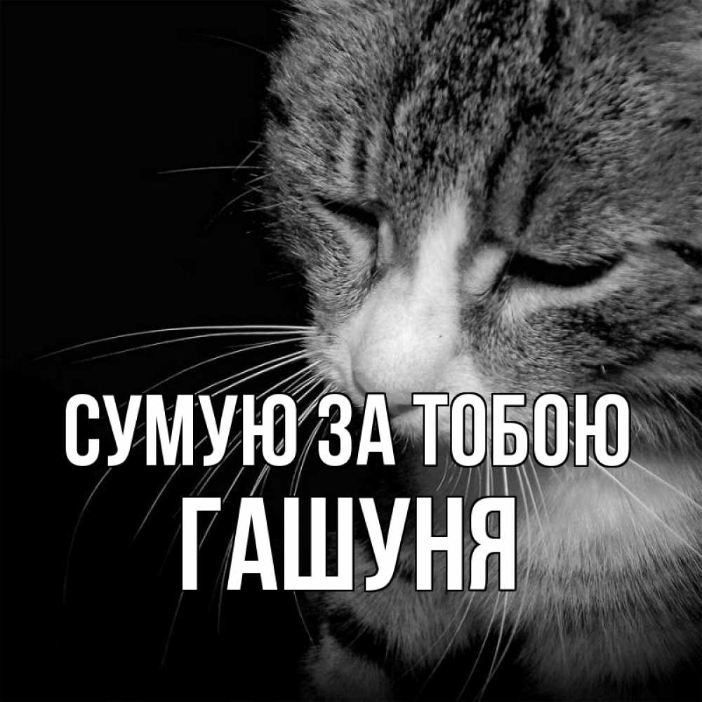 Открытка на каждый день з підписом, Гашуня Сумую за тобою мне скучно Прикольна листівка з побажанням онлайн скачати безкоштовно 