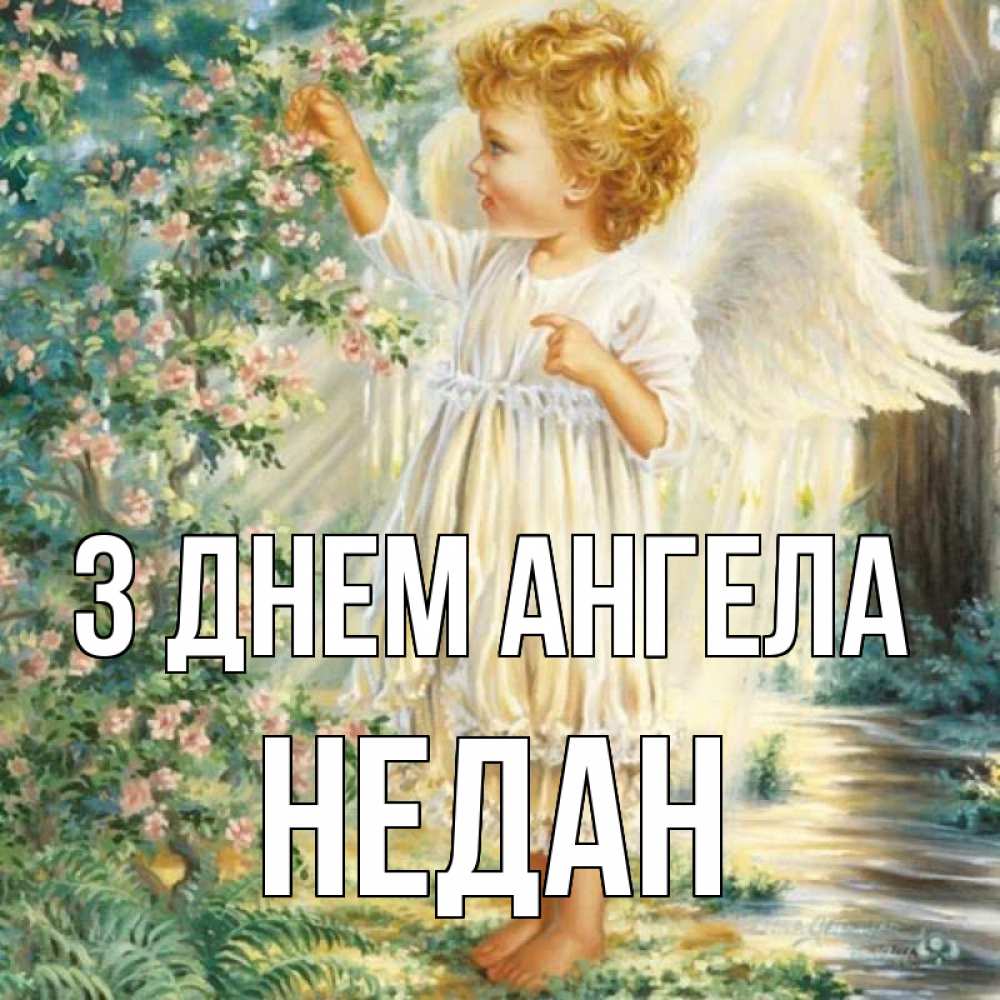 Открытка на каждый день з підписом, Недан З Днем ангела собирает цветы Прикольна листівка з побажанням онлайн скачати безкоштовно 