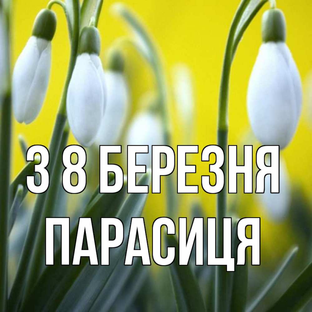 Открытка на каждый день з підписом, Парасиця З 8 БЕРЕЗНЯ весенние цветы Прикольна листівка з побажанням онлайн скачати безкоштовно 