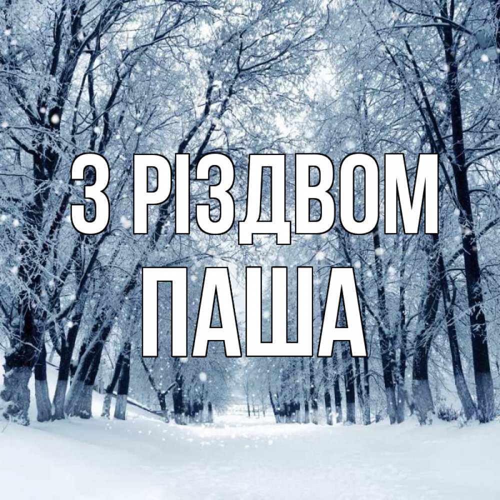 Открытка на каждый день з підписом, Паша З Різдвом снег, лес, парк Прикольна листівка з побажанням онлайн скачати безкоштовно 