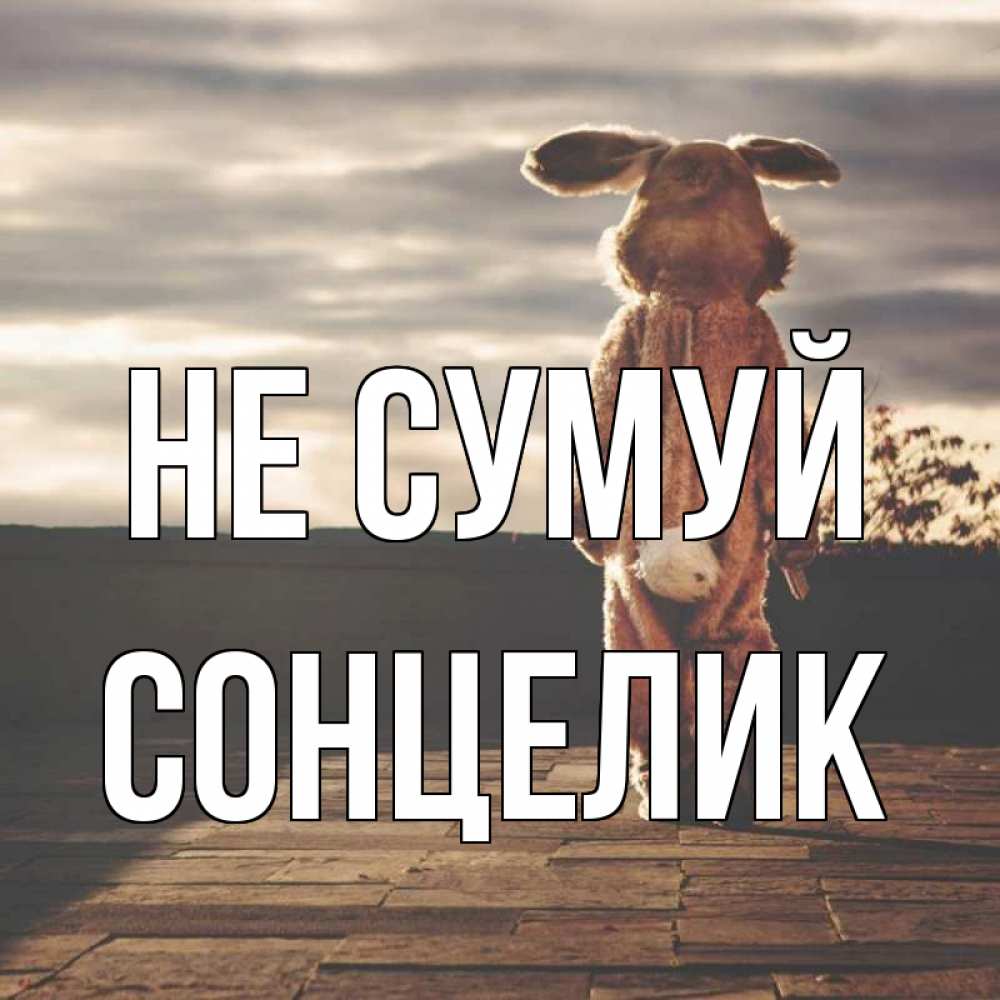 Открытка на каждый день з підписом, Сонцелик Не сумуй со спины Прикольна листівка з побажанням онлайн скачати безкоштовно 
