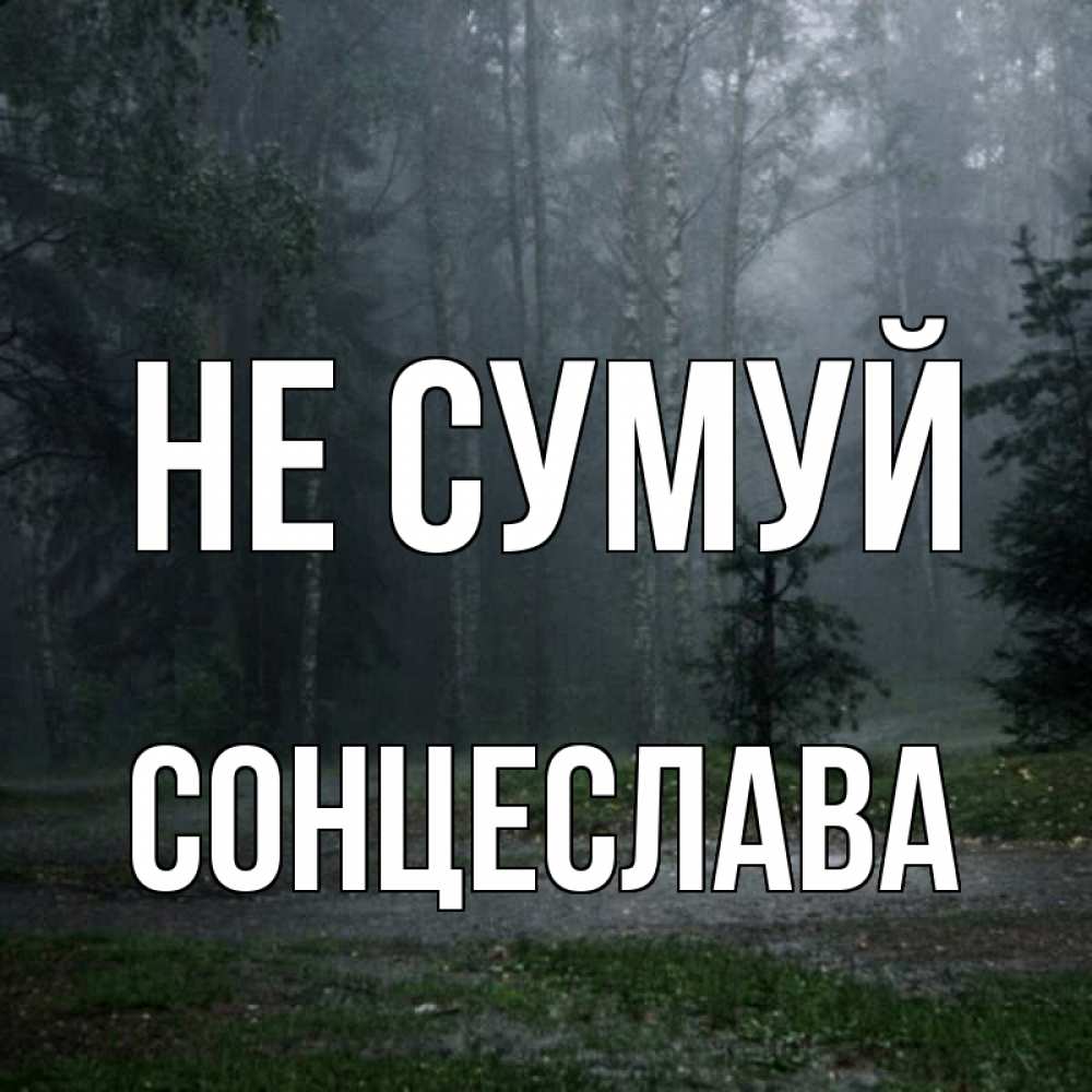 Открытка на каждый день з підписом, Сонцеслава Не сумуй осень Прикольна листівка з побажанням онлайн скачати безкоштовно 