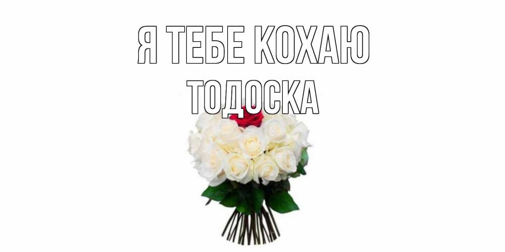 Открытка на каждый день з підписом, Тодоска Я тебе кохаю единственная Прикольна листівка з побажанням онлайн скачати безкоштовно 
