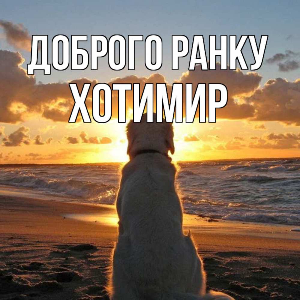Открытка на каждый день з підписом, Хотимир Доброго ранку восход солнца Прикольна листівка з побажанням онлайн скачати безкоштовно 