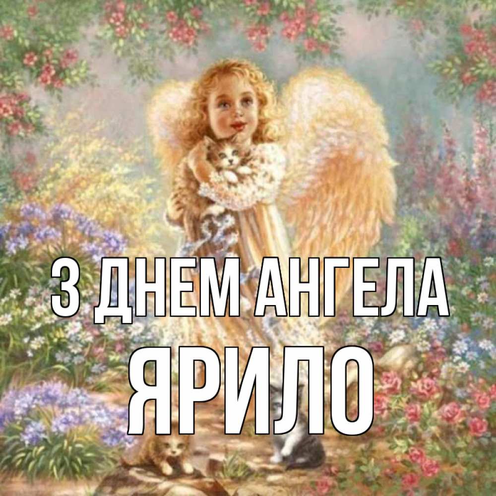 Открытка на каждый день з підписом, Ярило З Днем ангела держит котенка Прикольна листівка з побажанням онлайн скачати безкоштовно 