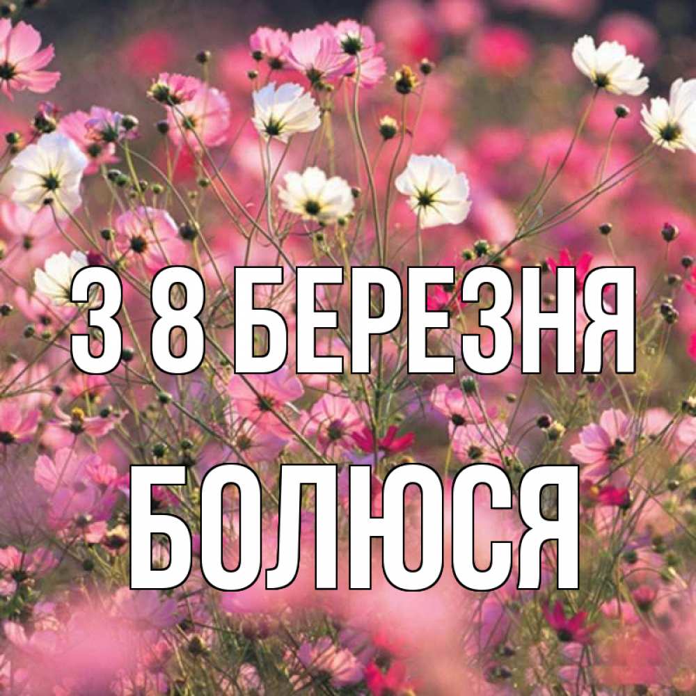 Открытка на каждый день з підписом, Болюся З 8 БЕРЕЗНЯ красиво 1 Прикольна листівка з побажанням онлайн скачати безкоштовно 