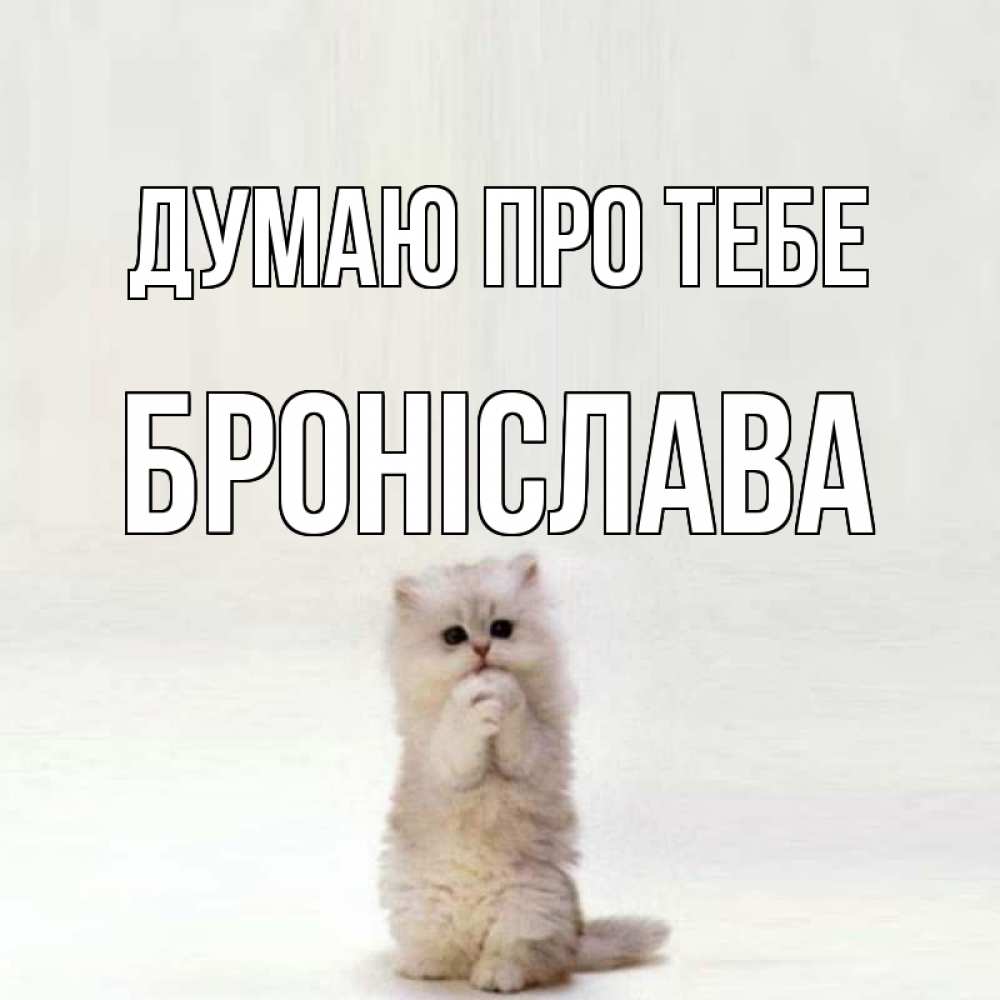 Открытка на каждый день з підписом, Броніслава Думаю про тебе кот стоит на задних лапах Прикольна листівка з побажанням онлайн скачати безкоштовно 