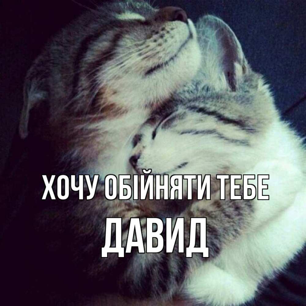 Открытка на каждый день з підписом, Давид Хочу обійняти тебе полосатики Прикольна листівка з побажанням онлайн скачати безкоштовно 