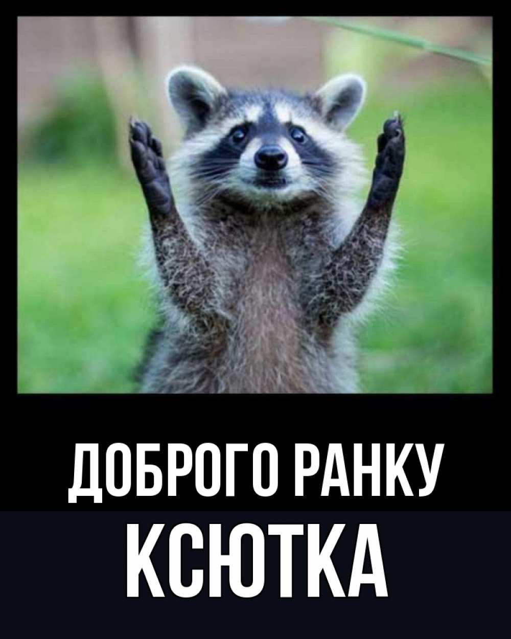 Открытка на каждый день з підписом, Ксютка Доброго ранку хорошее настроение утречком Прикольна листівка з побажанням онлайн скачати безкоштовно 