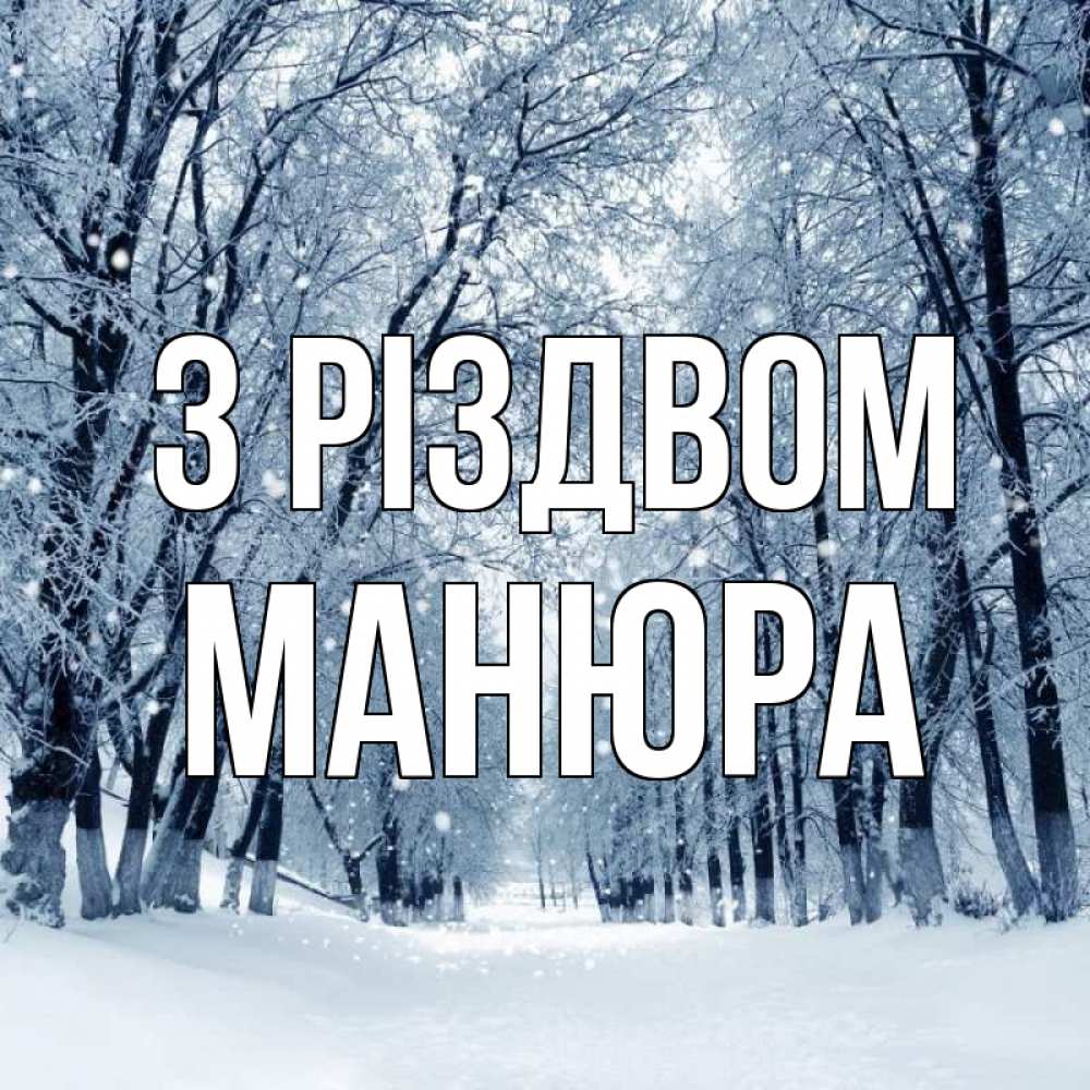 Открытка на каждый день з підписом, Манюра З Різдвом снег, лес, парк Прикольна листівка з побажанням онлайн скачати безкоштовно 