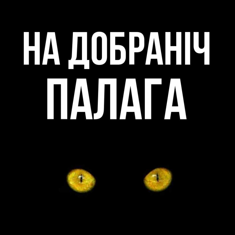 Открытка на каждый день з підписом, Палага На добраніч сладких снов бесстрашный мой дружочек Прикольна листівка з побажанням онлайн скачати безкоштовно 