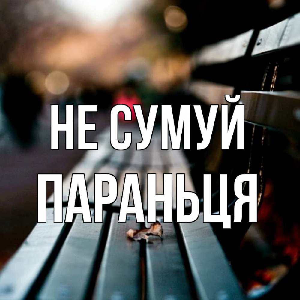 Открытка на каждый день з підписом, Параньця Не сумуй размытый фон Прикольна листівка з побажанням онлайн скачати безкоштовно 