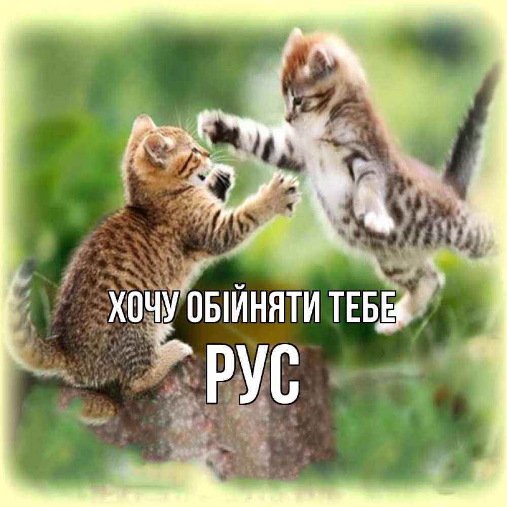 Открытка на каждый день з підписом, Рус Хочу обійняти тебе игры котят Прикольна листівка з побажанням онлайн скачати безкоштовно 