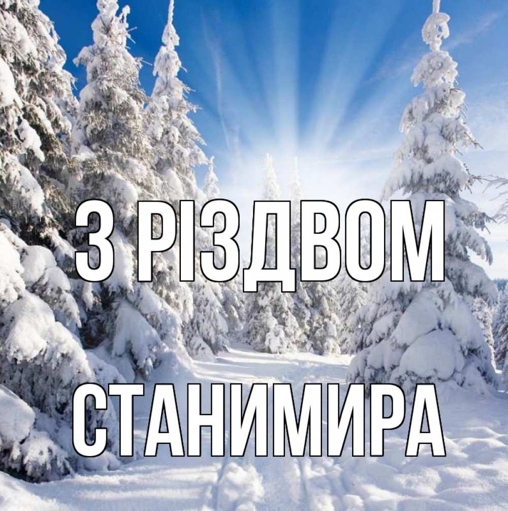 Открытка на каждый день з підписом, Станимира З Різдвом зима, лес Прикольна листівка з побажанням онлайн скачати безкоштовно 