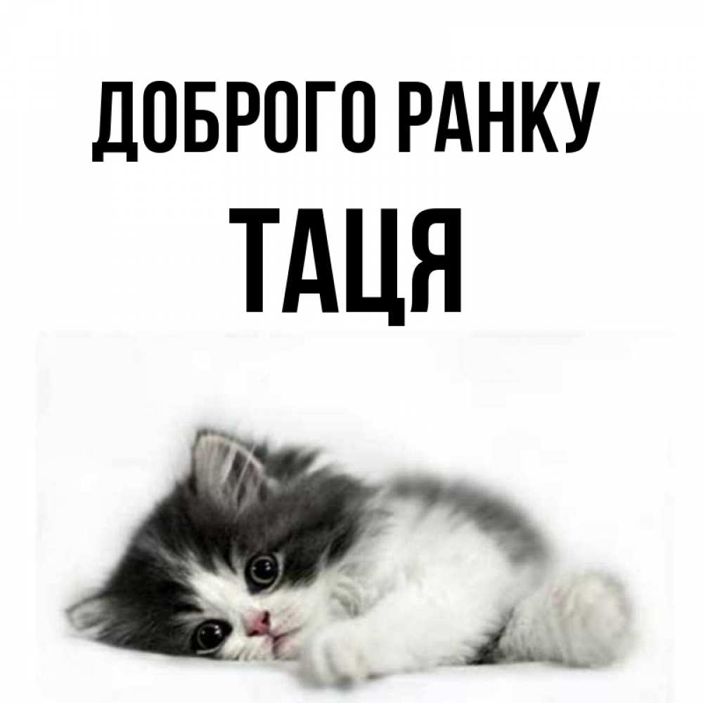 Открытка на каждый день з підписом, Таця Доброго ранку кот лапки Прикольна листівка з побажанням онлайн скачати безкоштовно 