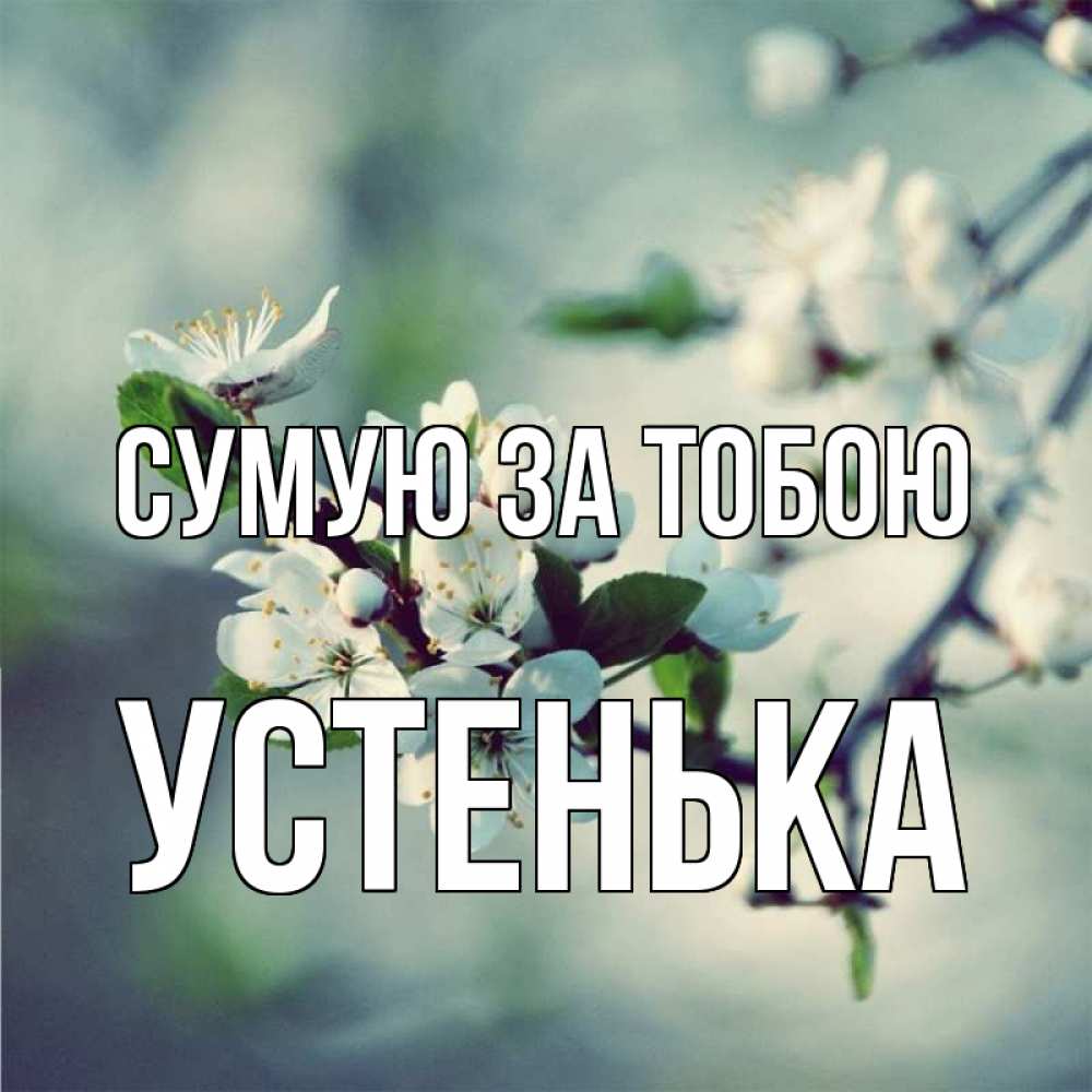 Открытка на каждый день з підписом, Устенька Сумую за тобою весна Прикольна листівка з побажанням онлайн скачати безкоштовно 