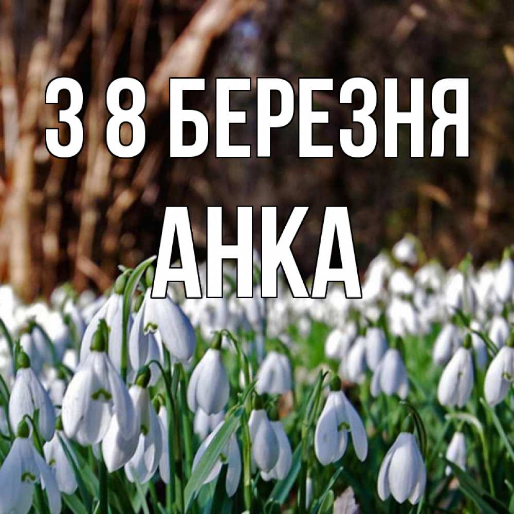 Открытка на каждый день з підписом, Анка З 8 БЕРЕЗНЯ с подснежниками 1 Прикольна листівка з побажанням онлайн скачати безкоштовно 