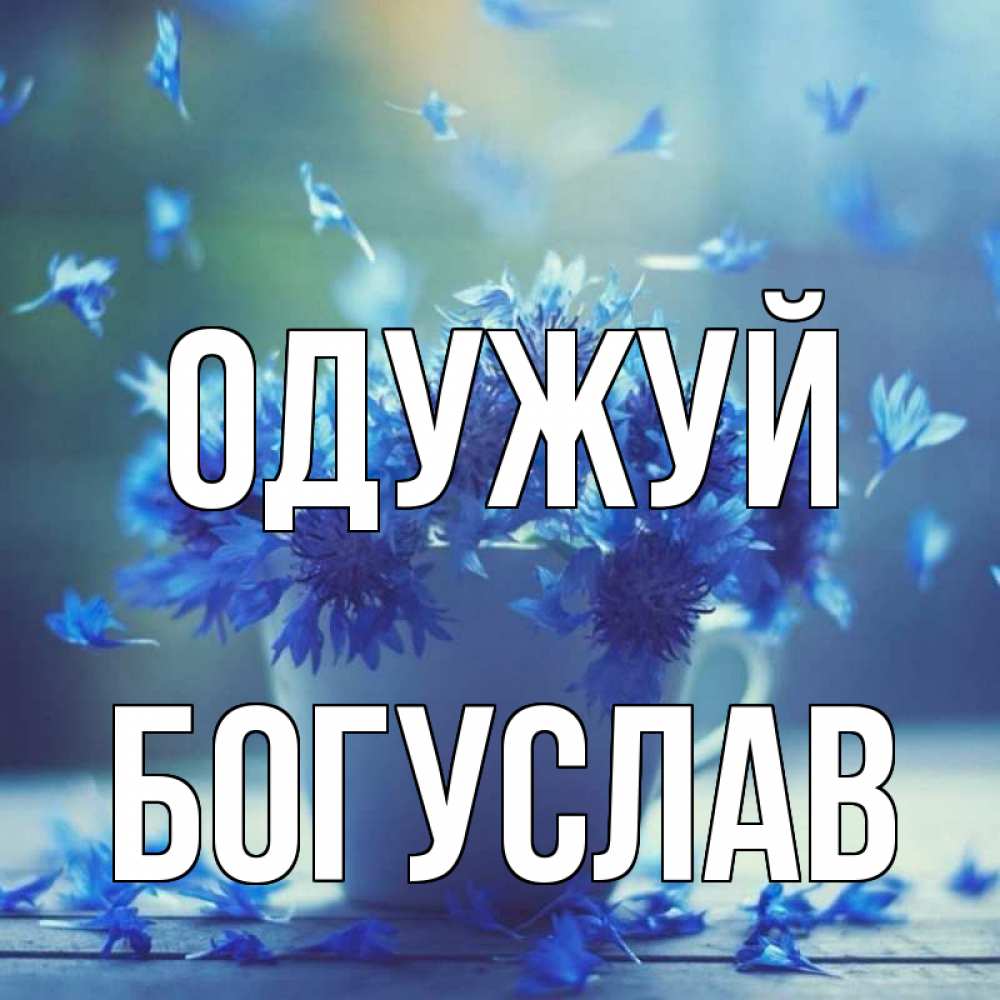 Открытка на каждый день з підписом, Богуслав Одужуй кружка с зельем и цветами Прикольна листівка з побажанням онлайн скачати безкоштовно 