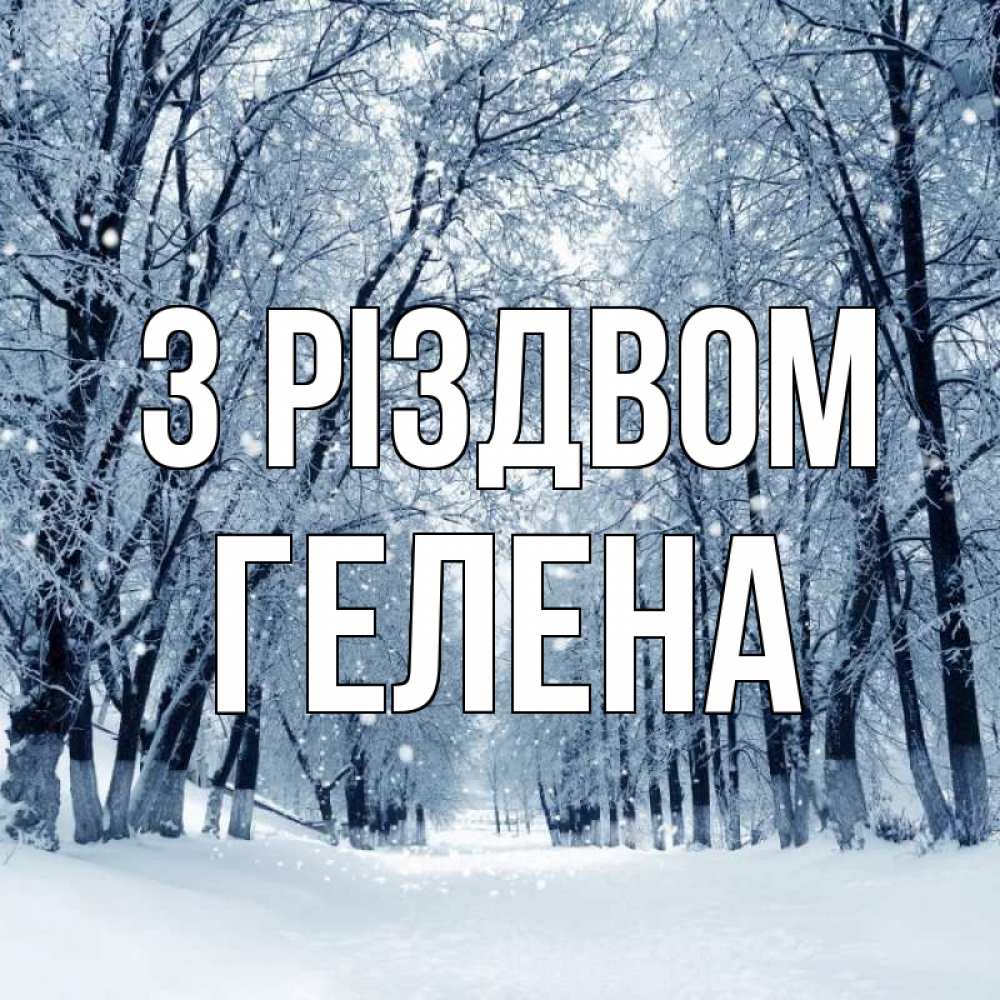 Открытка на каждый день з підписом, Гелена З Різдвом снег, лес, парк Прикольна листівка з побажанням онлайн скачати безкоштовно 