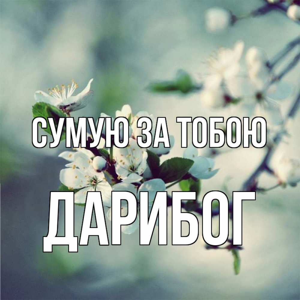 Открытка на каждый день з підписом, Дарибог Сумую за тобою весна Прикольна листівка з побажанням онлайн скачати безкоштовно 