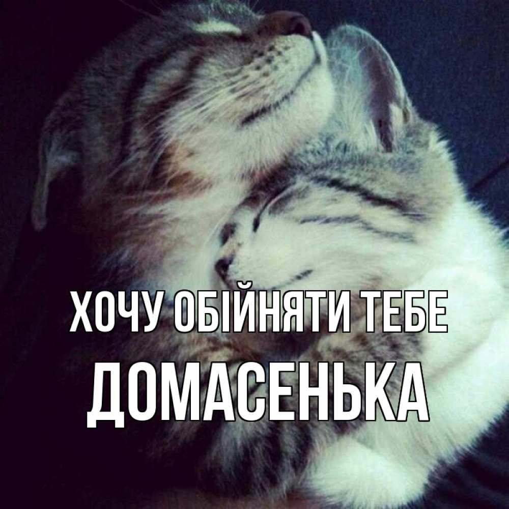 Открытка на каждый день з підписом, Домасенька Хочу обійняти тебе полосатики Прикольна листівка з побажанням онлайн скачати безкоштовно 