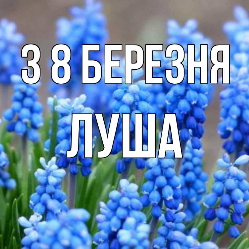 Открытка на каждый день з підписом, Луша З 8 БЕРЕЗНЯ Поздравительная открытка для женщин с цветами на праздничную дату Прикольна листівка з побажанням онлайн скачати безкоштовно 