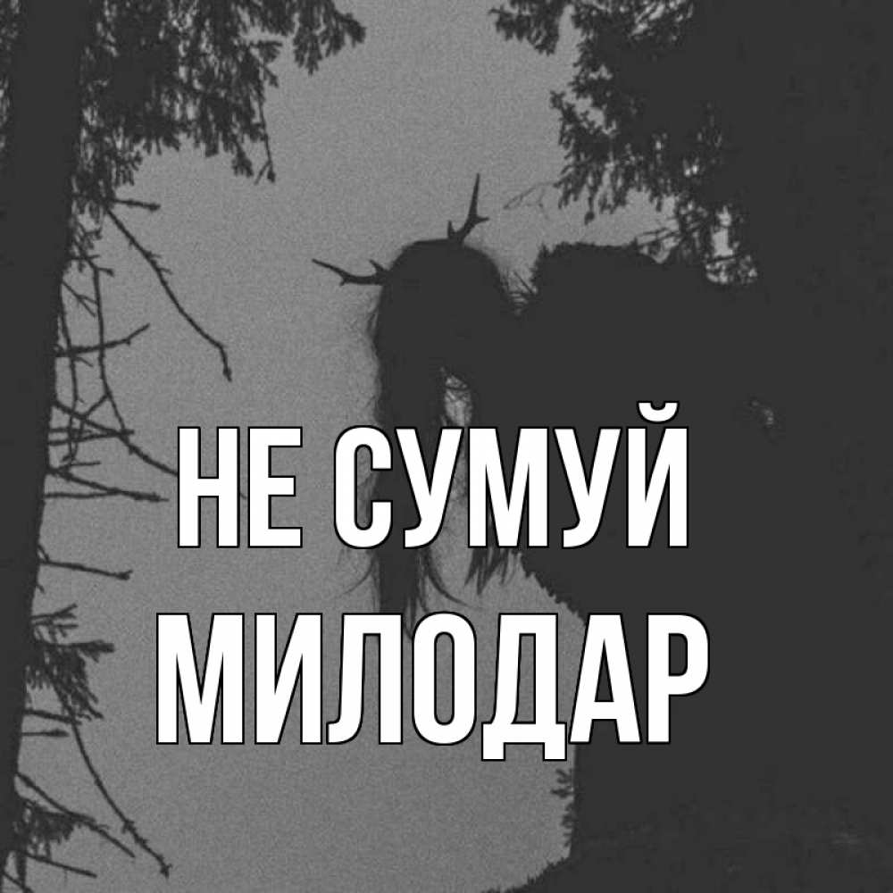 Открытка на каждый день з підписом, Милодар Не сумуй чудище лесное Прикольна листівка з побажанням онлайн скачати безкоштовно 