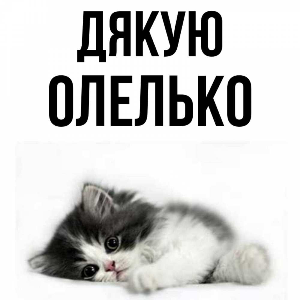 Открытка на каждый день з підписом, Олелько Дякую черный и белый кот Прикольна листівка з побажанням онлайн скачати безкоштовно 