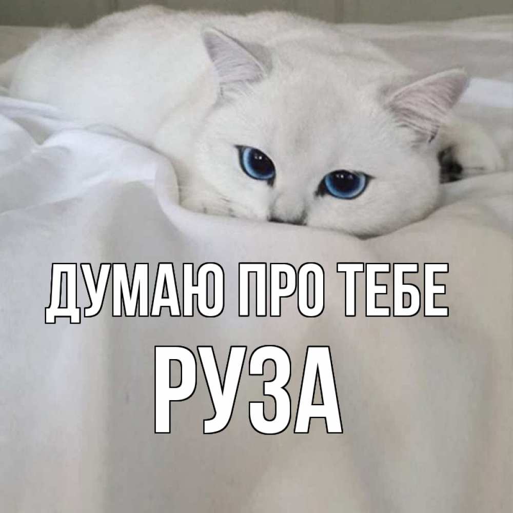 Открытка на каждый день з підписом, Руза Думаю про тебе я очень по тебе скучаю и тоскую Прикольна листівка з побажанням онлайн скачати безкоштовно 