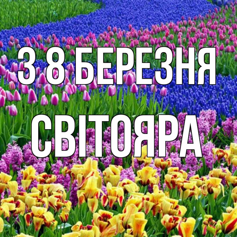 Открытка на каждый день з підписом, Світояра З 8 БЕРЕЗНЯ цветы Прикольна листівка з побажанням онлайн скачати безкоштовно 