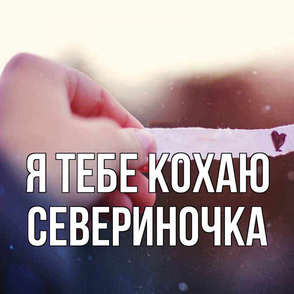 Открытка на каждый день з підписом, Севериночка Я тебе кохаю для тебя Прикольна листівка з побажанням онлайн скачати безкоштовно 
