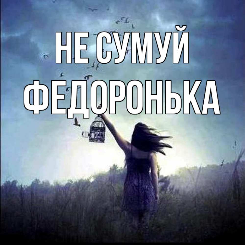 Открытка на каждый день з підписом, Федоронька Не сумуй на волю Прикольна листівка з побажанням онлайн скачати безкоштовно 