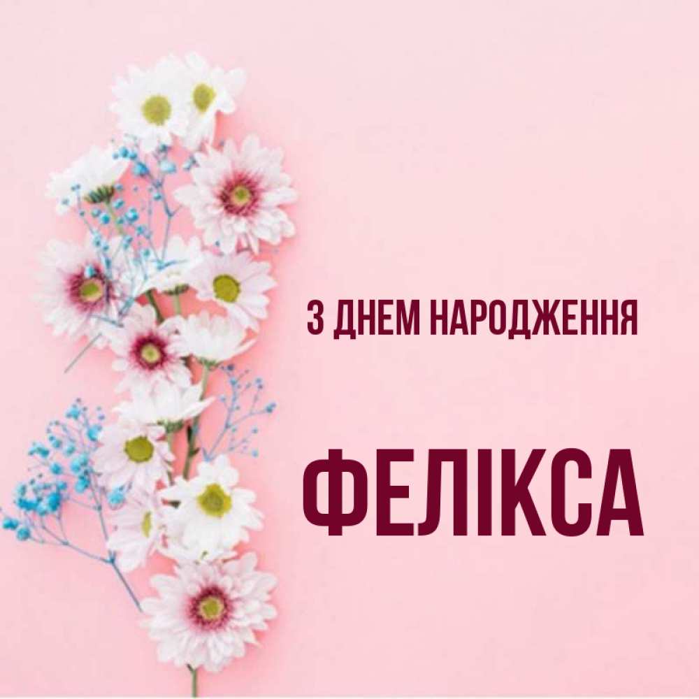 Открытка на каждый день з підписом, Фелікса З Днем народження Родная моя с днем рождения тебя картинка с цветами белыми и голубыми Прикольна листівка з побажанням онлайн скачати безкоштовно 