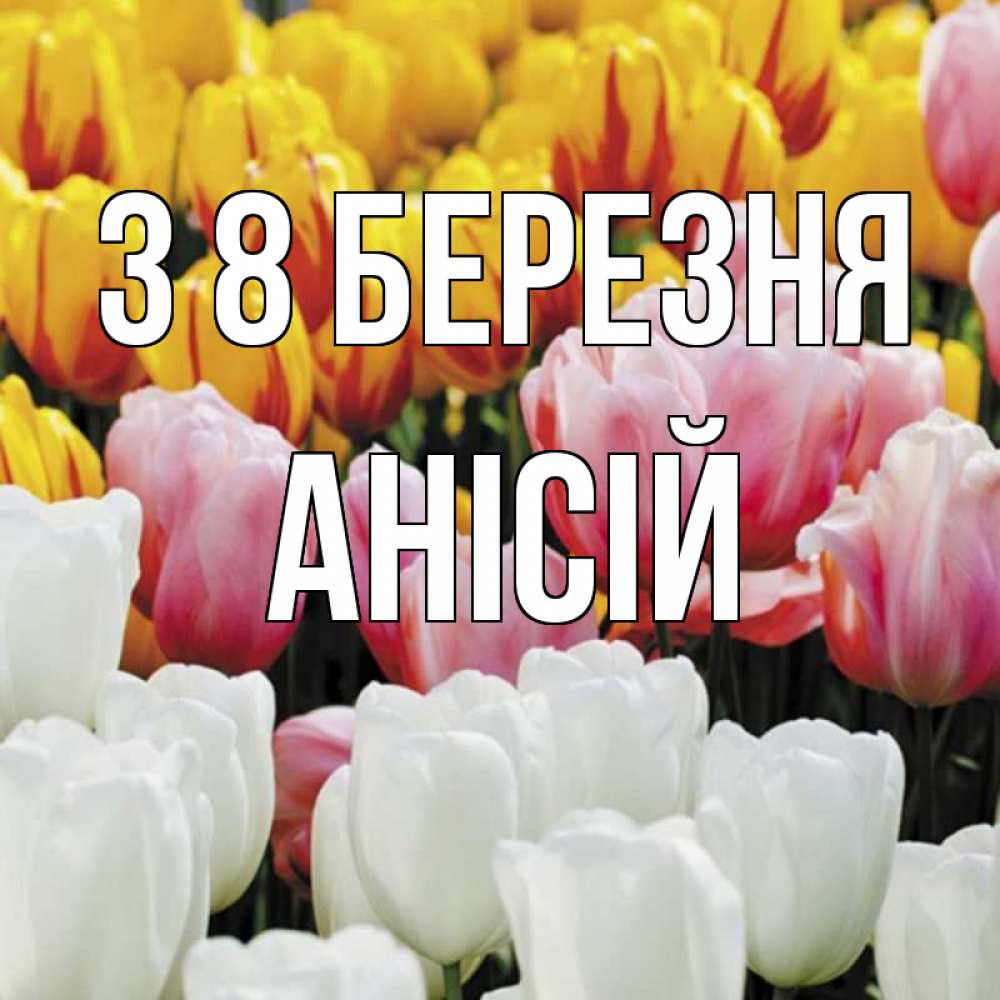 Открытка на каждый день з підписом, Анісій З 8 БЕРЕЗНЯ разноцветные цветы Прикольна листівка з побажанням онлайн скачати безкоштовно 