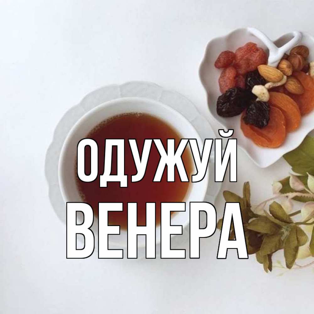 Открытка на каждый день з підписом, Венера Одужуй неизвестные растения Прикольна листівка з побажанням онлайн скачати безкоштовно 