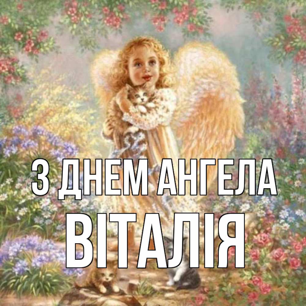 Открытка на каждый день з підписом, Віталія З Днем ангела держит котенка Прикольна листівка з побажанням онлайн скачати безкоштовно 