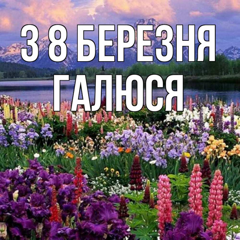 Открытка на каждый день з підписом, Галюся З 8 БЕРЕЗНЯ международный женский день Прикольна листівка з побажанням онлайн скачати безкоштовно 