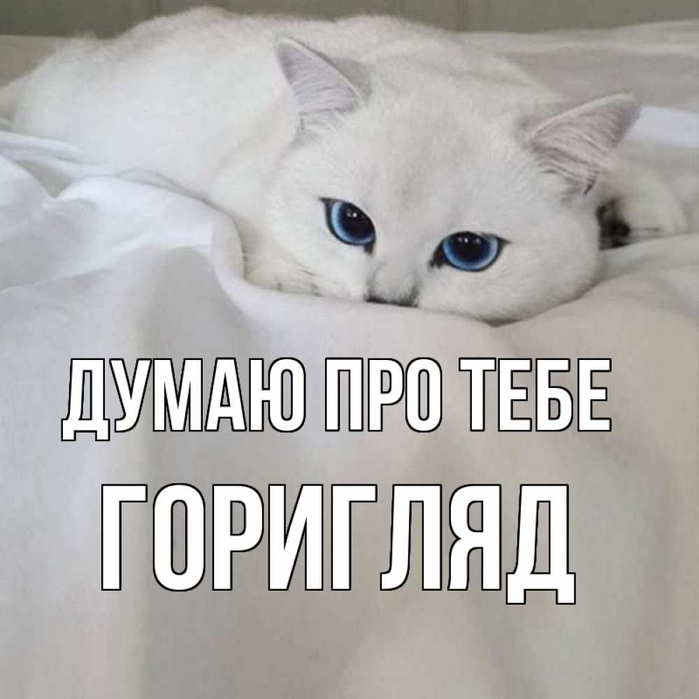 Открытка на каждый день з підписом, Горигляд Думаю про тебе я очень по тебе скучаю и тоскую Прикольна листівка з побажанням онлайн скачати безкоштовно 