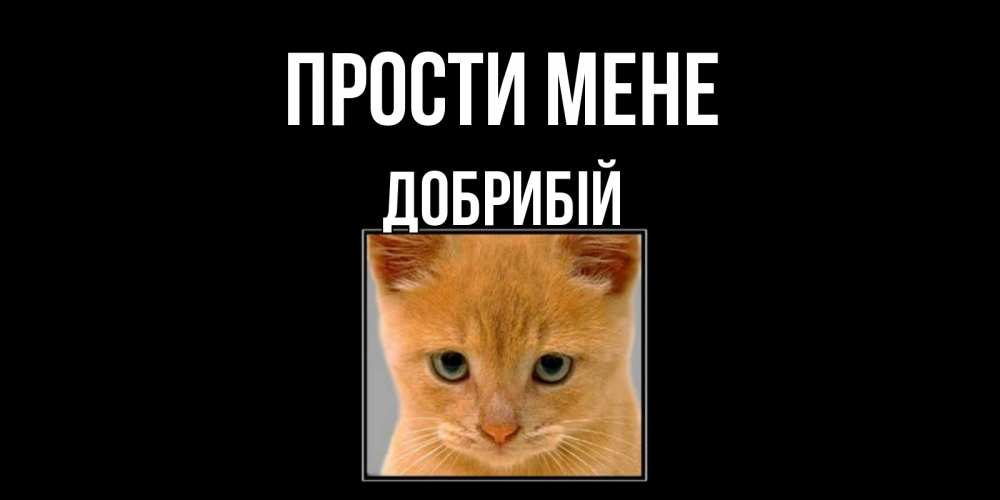 Открытка на каждый день з підписом, Добрибій Прости мене рыжий грустный кот просит прощения Прикольна листівка з побажанням онлайн скачати безкоштовно 